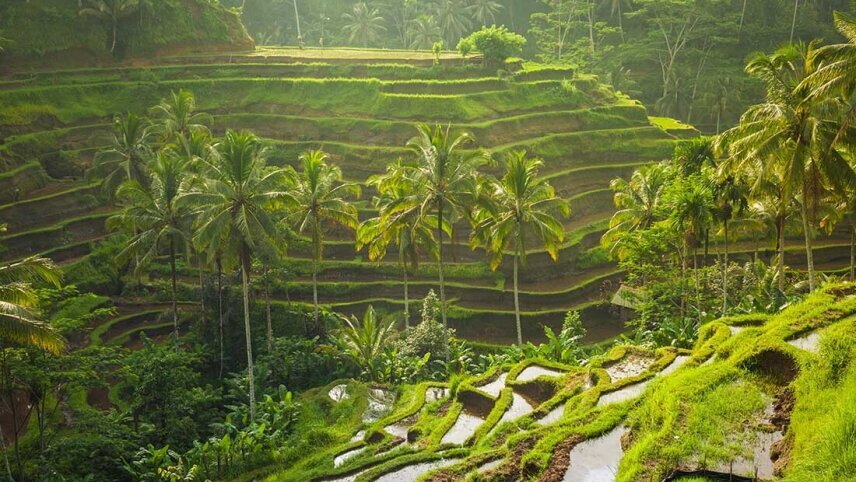 Java & Bali Explorer