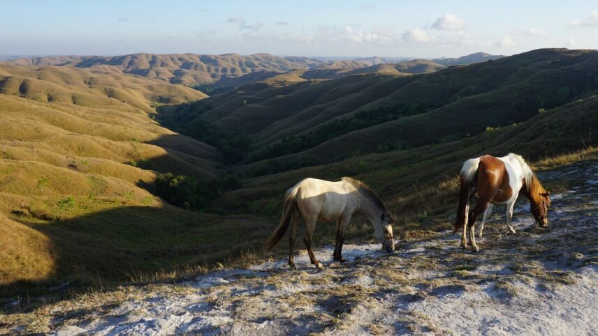 Indonesia: Sumba Island Discovery