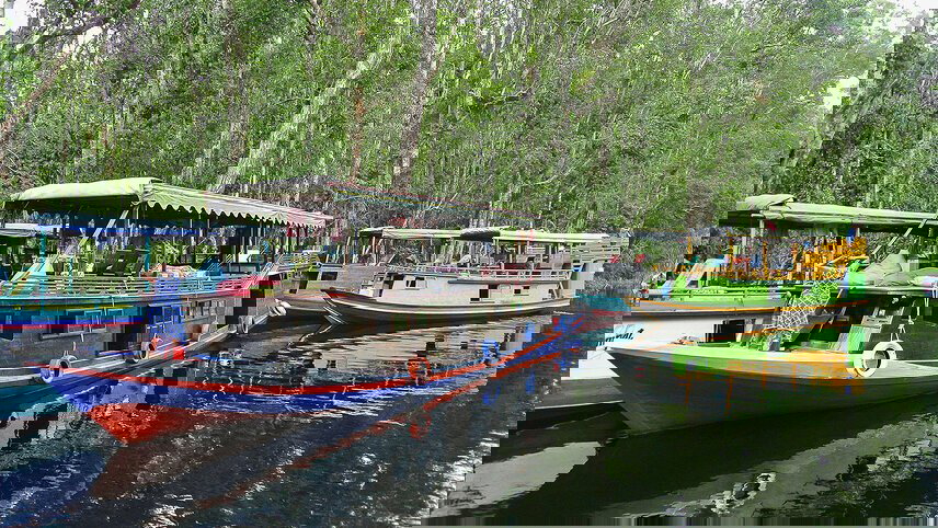 Indonesia Expedition: Orangutans of Kalimantan