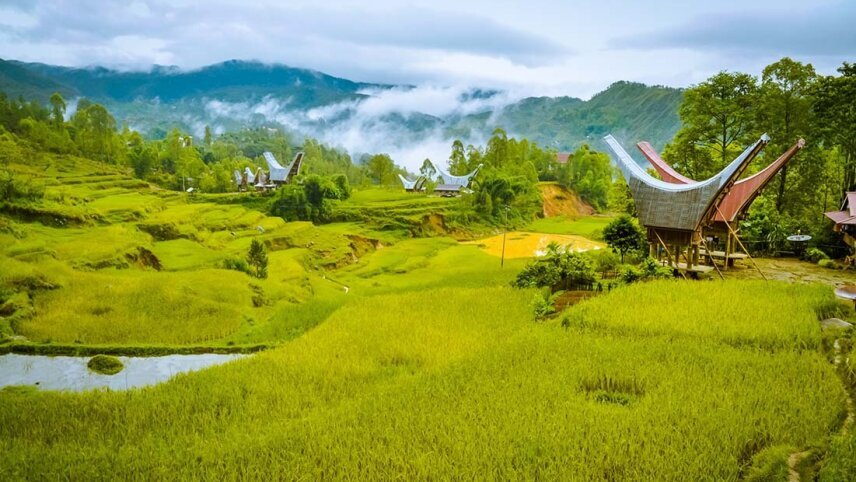 Indonesia Expedition: Sulawesi & Toraja Tribes