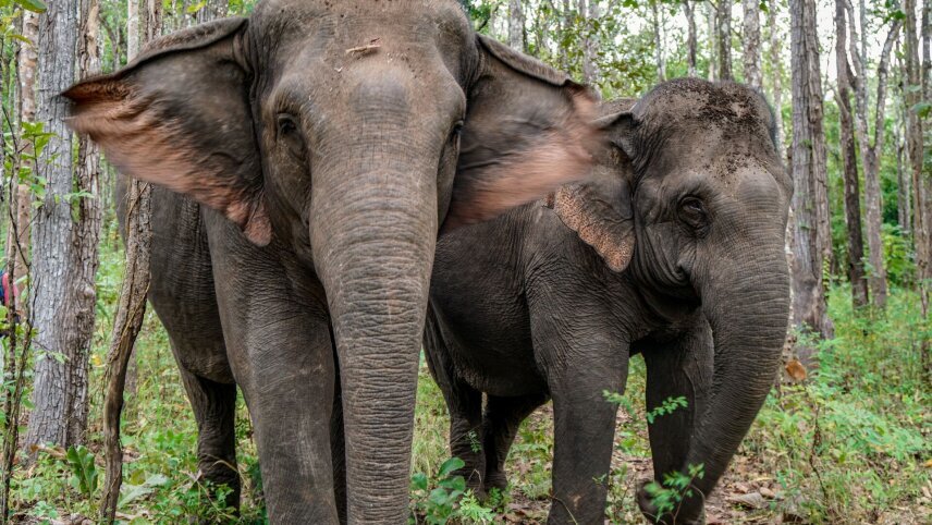 Cambodia Family Holiday with Teenagers