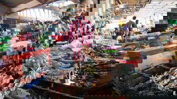 6 Day Classic Cambodia (Intrepid)