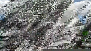 26 Day Cambodia & Vietnam Experience (Intrepid)