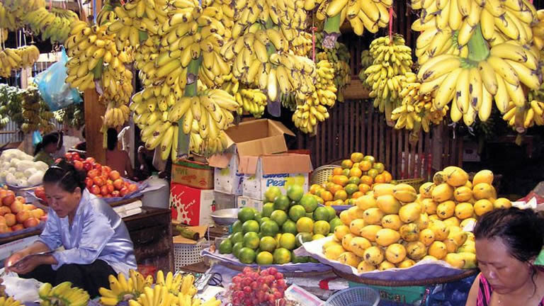 Cambodia & Vietnam Experience