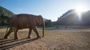 13 Day Thailand & Laos Adventure (Intrepid)