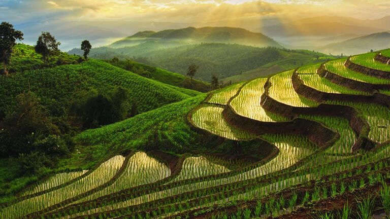 Thailand & Laos Adventure