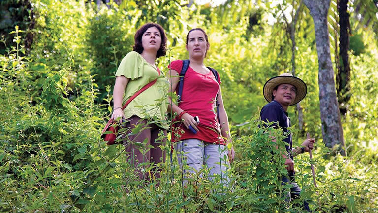 Premium Borneo in Depth