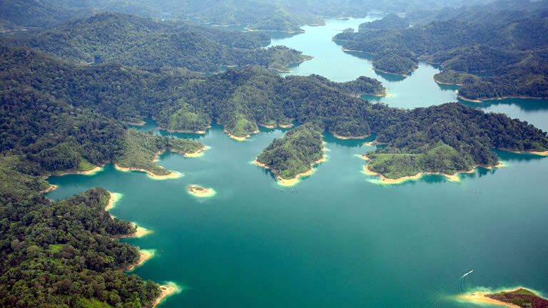 Premium Borneo in Depth