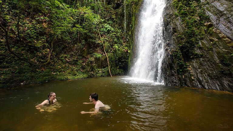 Premium Borneo in Depth