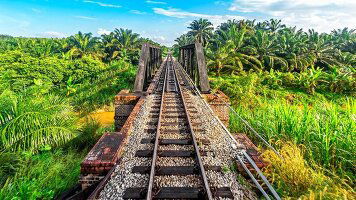 10 Day Malaysia's Jungle Railway Adventure (Intrepid)