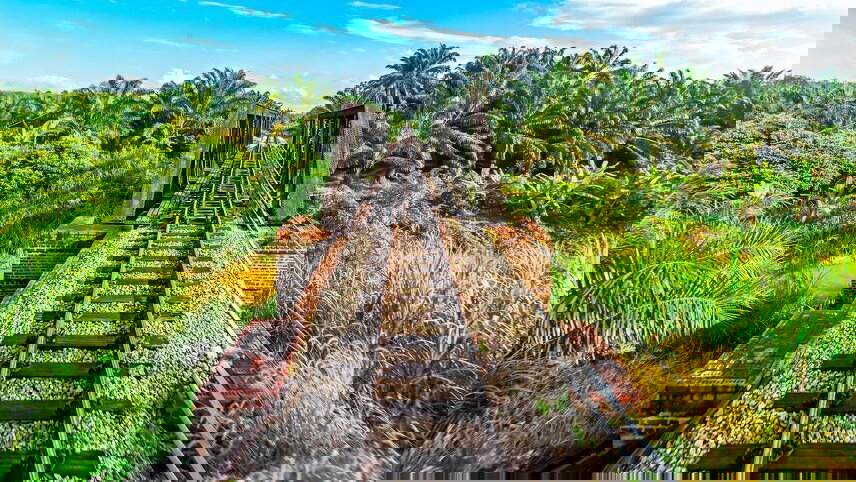 Malaysia's Jungle Railway Adventure