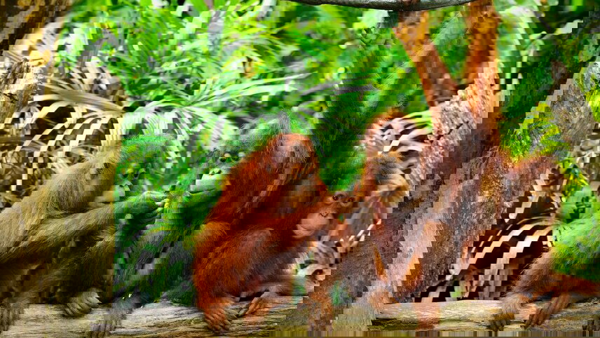 Malaysia's Ultimate Adventure