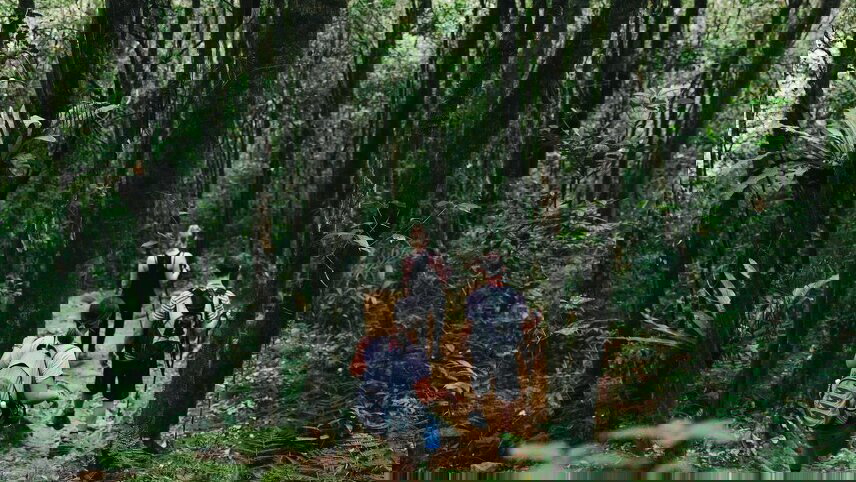 Malaysia's Ultimate Adventure