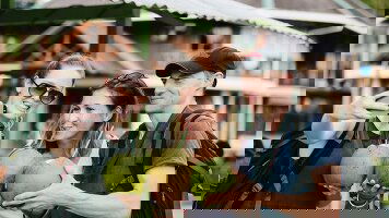 20 Day Best of Borneo (Intrepid)