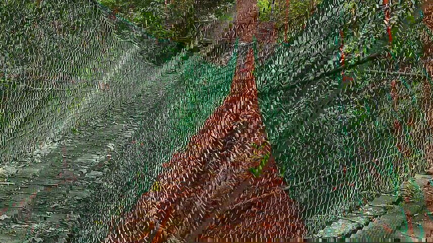 Borneo Expedition: Maliau Basin - Sabah's Lost World Trek