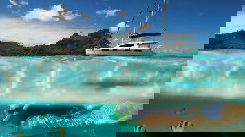 Intrepid Sailing Trips