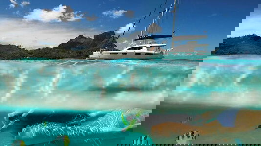 Intrepid Sailing Trips