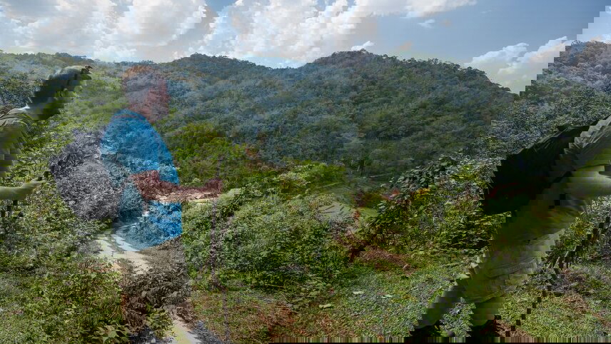 Thailand Hilltribe Trek