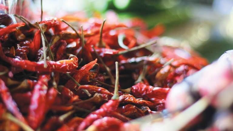 Highlights of Thailand