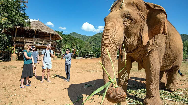 Premium South East Asia in Depth