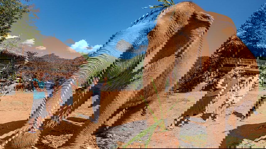 Premium Northern Thailand