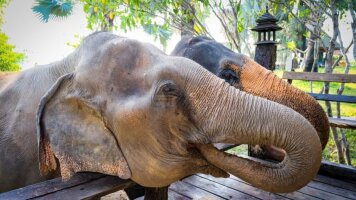 7 Day Simply Northern Thailand (Intrepid)