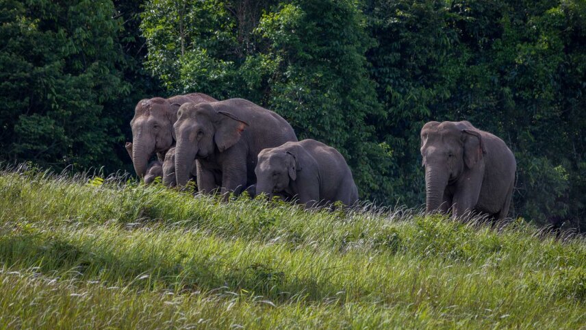Hidden Gems of Thailand