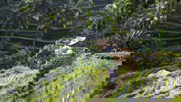 28 Day Bangkok to Bali (Intrepid)