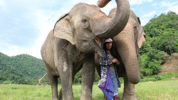 8 Day Explore Northern Thailand (Intrepid)