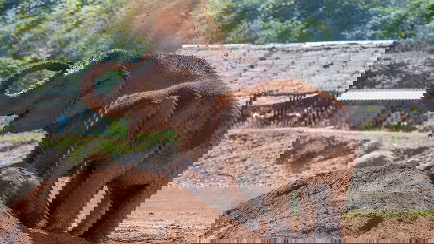 Beautiful Northern Thailand