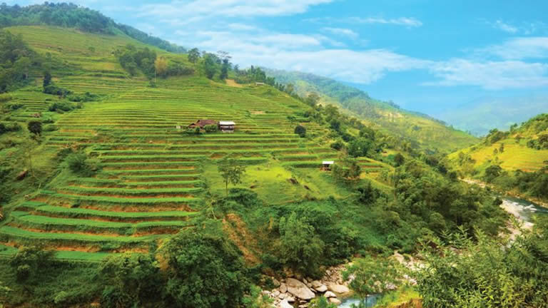 Hiking in Sapa