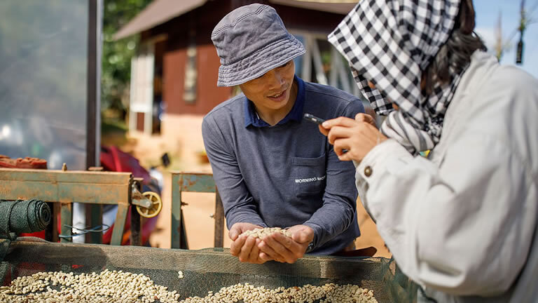 Premium Vietnam in Depth