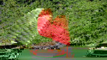 10 Day Vietnam Express Southbound (Intrepid)