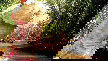 15 Day Scenic Vietnam (Intrepid)