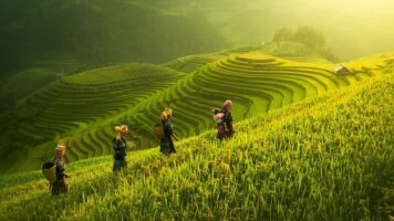 9 Day Premium Walking & Hiking in Vietnam (Intrepid)