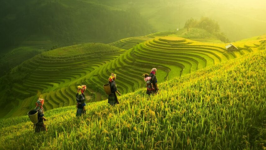 Premium Walking & Hiking in Vietnam