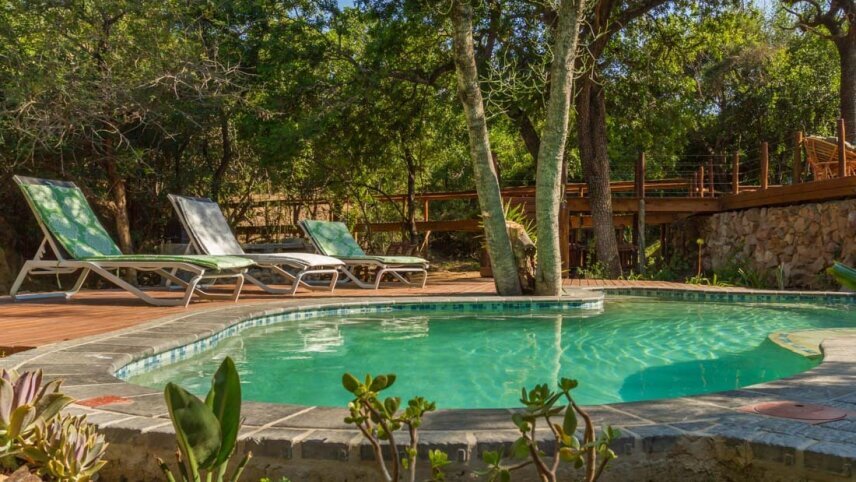 Kruger Lodge Experience