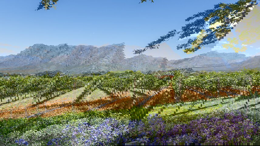 Kruger & Cape Town Short Break by Plane