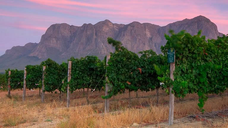 Cape Town & Winelands