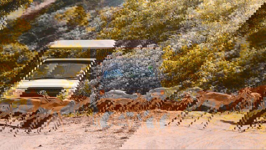 Amazing Southern Africa