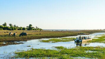 10 Day Botswana Adventure (Intrepid)