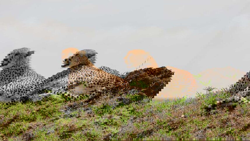 Johannesburg to Kenya