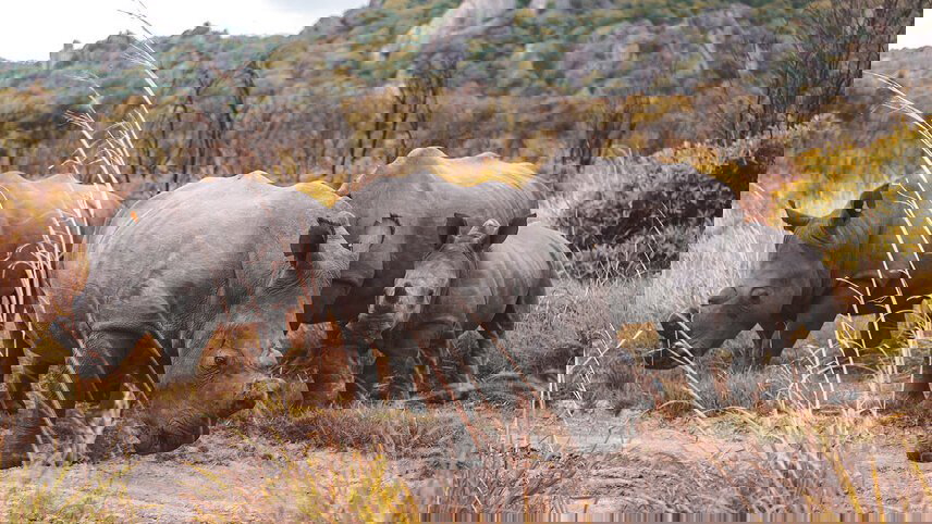 Johannesburg to Zanzibar