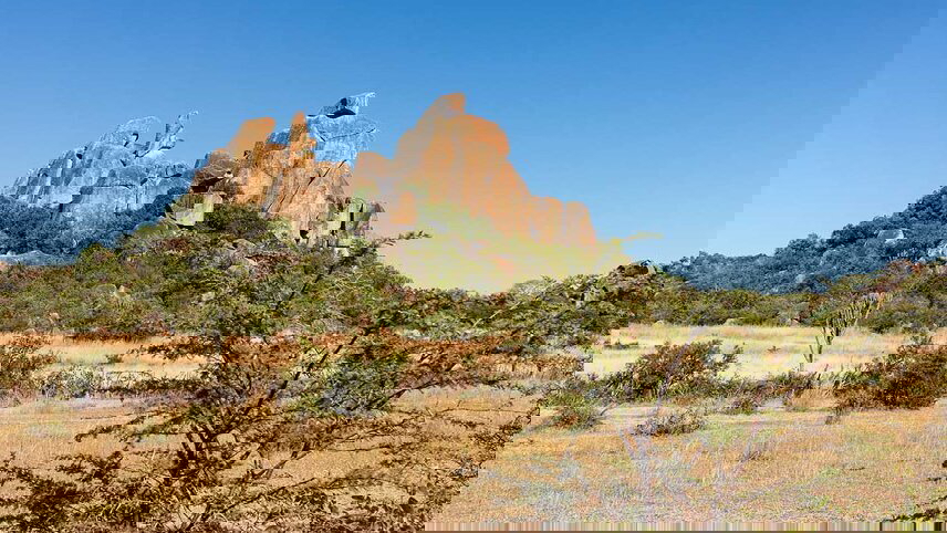 Johannesburg to Zanzibar