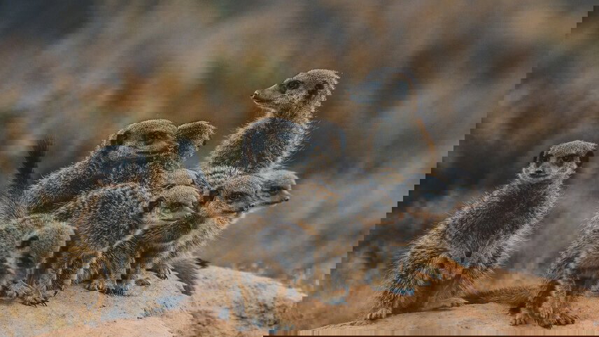 Garden Route Adventure