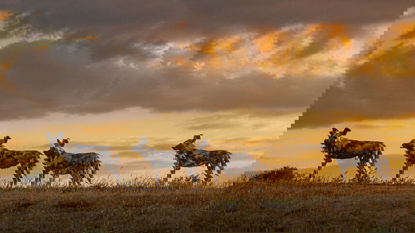 Explore Southern Africa