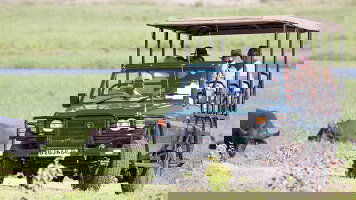 7 Day Premium Botswana (Intrepid)