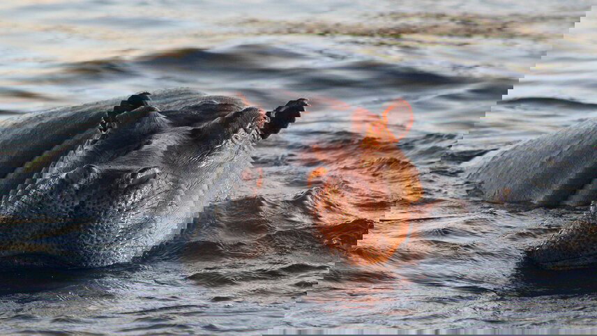 Premium Botswana & Namibia