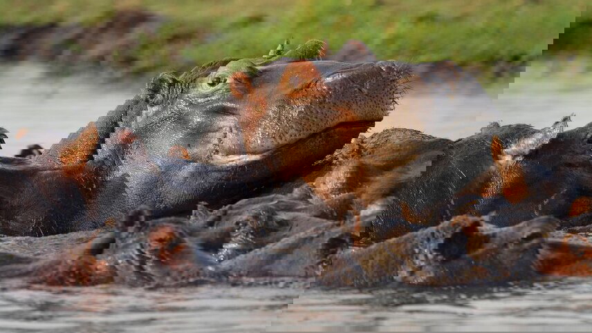 Experience Southern Africa