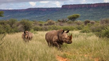 22 Day Highlights of Namibia & Botswana (Intrepid)